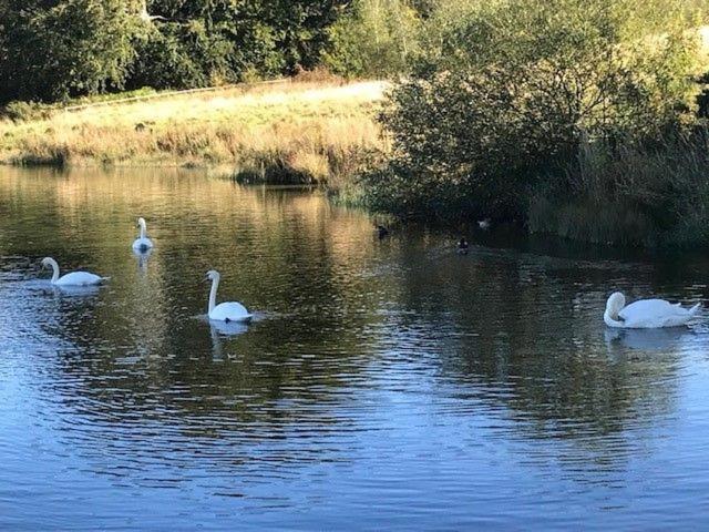 Waters Edge, Talkin Tarn, Nr Brampton Villa Brampton  Bagian luar foto